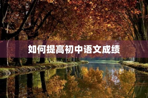 如何提高初中语文成绩