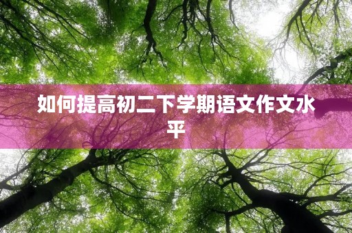 如何提高初二下学期语文作文水平