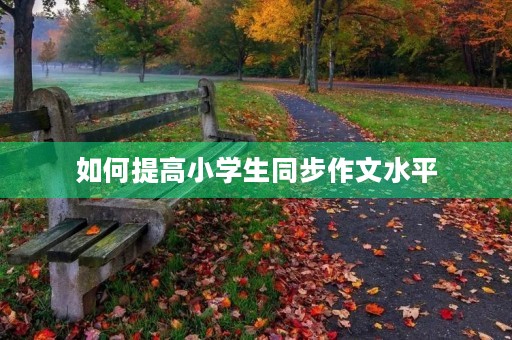 如何提高小学生同步作文水平