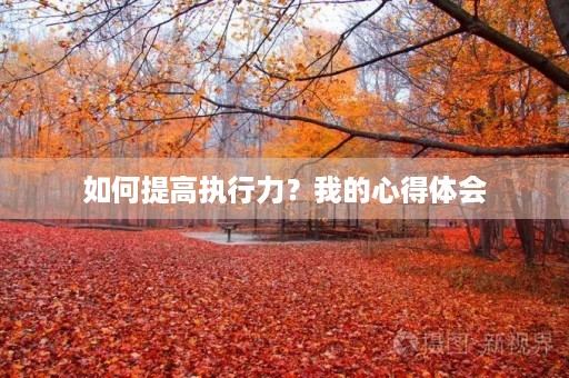 如何提高执行力?我的心得体会 如何提高执行力?我的心得体会