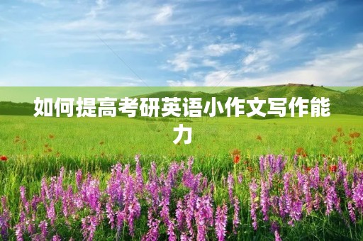 如何提高考研英语小作文写作能力 如何提高考研英语小作文写作能力