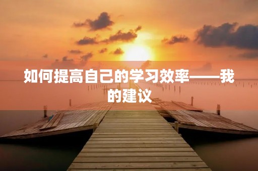 如何提高自己的学习效率——我的建议 如何提高自己的学习效率——我的建议