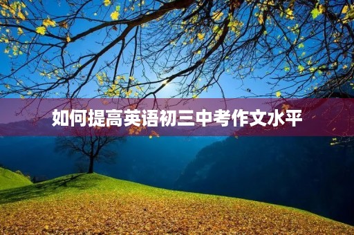 如何提高英语初三中考作文水平