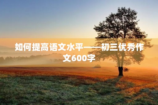 如何提高语文水平——初三优秀作文600字