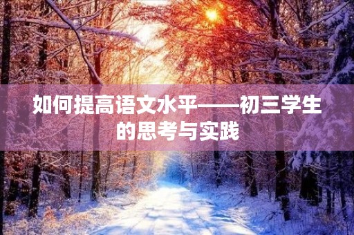 如何提高语文水平——初三学生的思考与实践 如何提高语文水平——初三学生的思考与实践