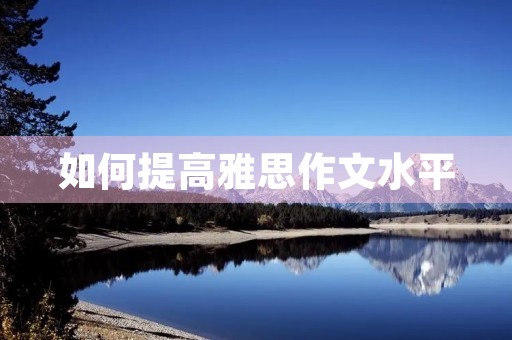 如何提高雅思作文水平