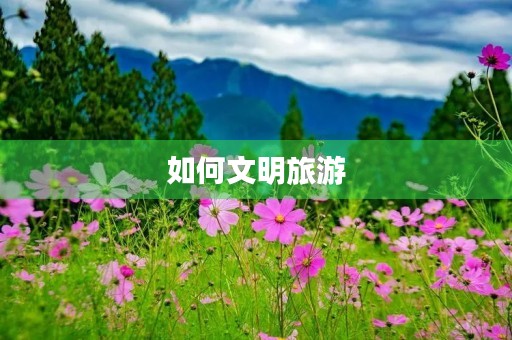 如何文明旅游 如何文明旅游