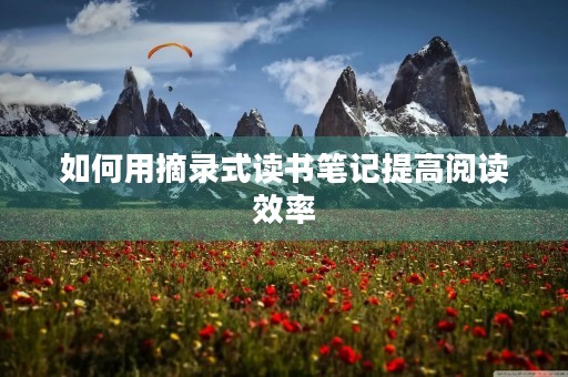 如何用摘录式读书笔记提高阅读效率