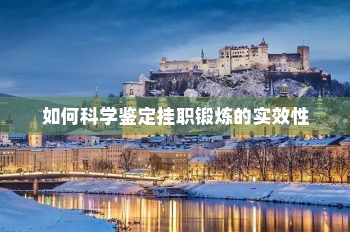 如何科学鉴定挂职锻炼的实效性