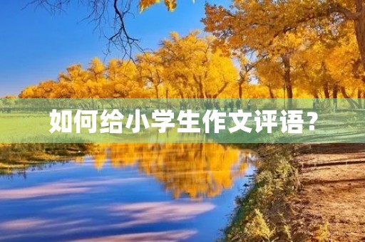 如何给小学生作文评语? 如何给小学生作文评语?