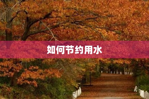 如何节约用水