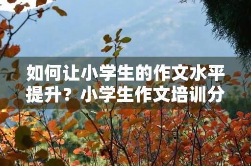 如何让小学生的作文水平提升？小学生作文培训分享