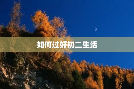 如何过好初二生活