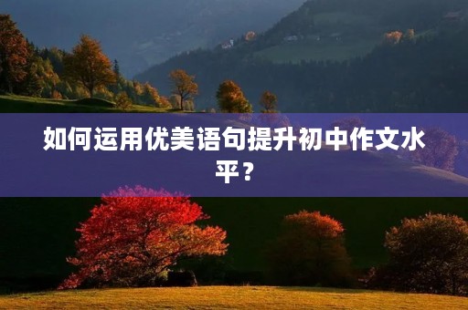 如何运用优美语句提升初中作文水平? 如何运用优美语句提升初中作文水平?