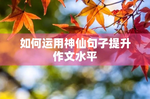 如何运用神仙句子提升作文水平