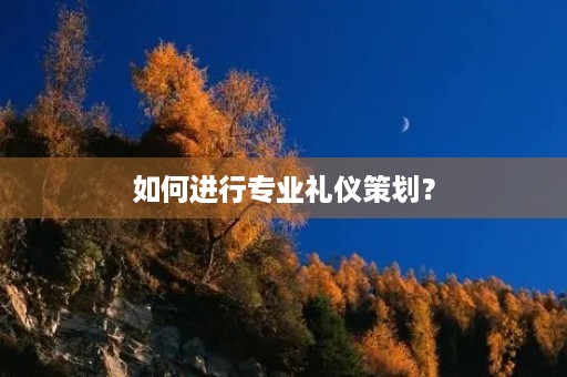 如何进行专业礼仪策划? 如何进行专业礼仪策划?