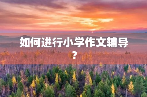 如何进行小学作文辅导? 如何进行小学作文辅导?