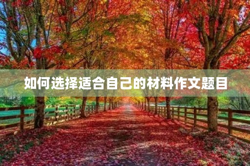 如何选择适合自己的材料作文题目