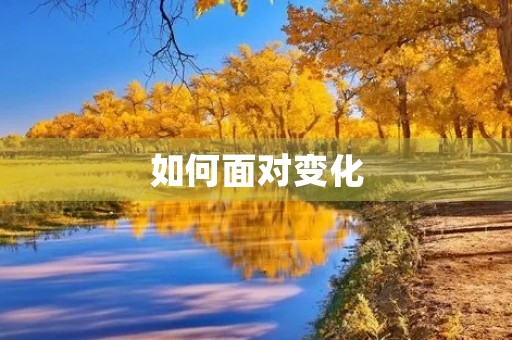 如何面对变化 如何面对变化