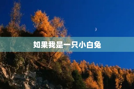 如果我是一只小白兔 如果我是一只小白兔