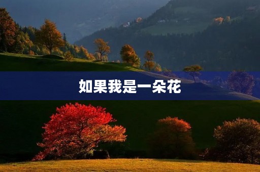 如果我是一朵花，我会怎样生长？