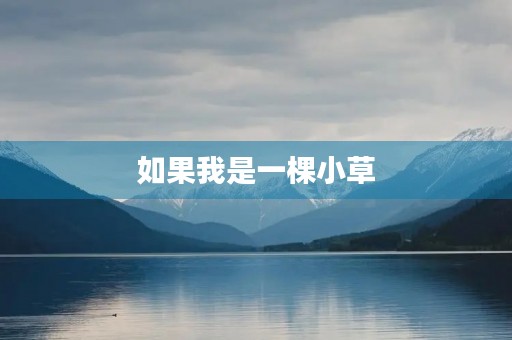 如果我是一棵小草,我会如何成长? 如果我是一棵小草,我会如何成长?