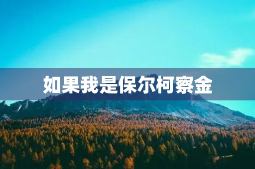 如果我是保尔柯察金 如果我是保尔柯察金