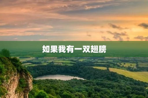 如果我有一双翅膀,我会飞向哪里? 如果我有一双翅膀,我会飞向哪里?