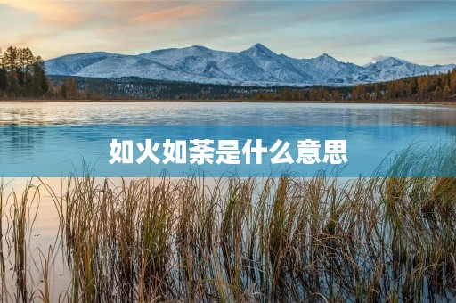 如火如荼是什么意思 如火如荼是什么意思