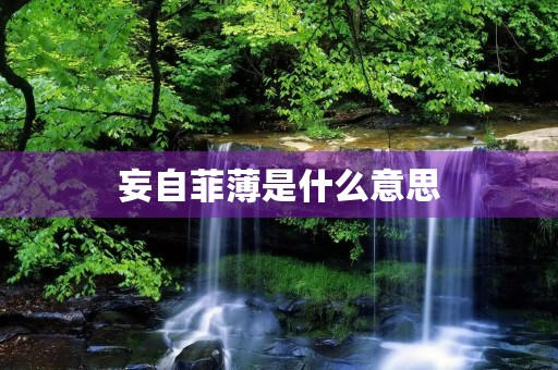 妄自菲薄是什么意思