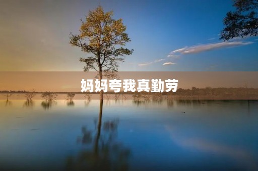 妈妈夸我真勤劳