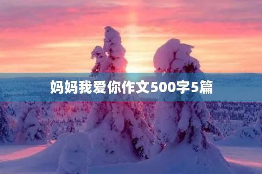 妈妈我爱你作文500字5篇