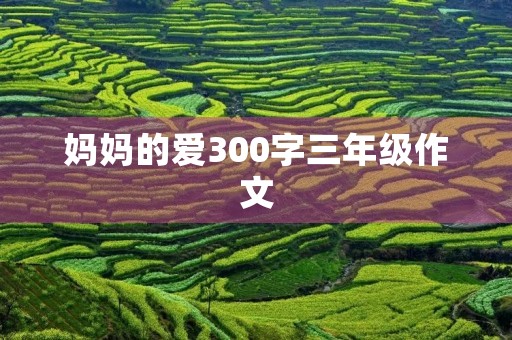 妈妈的爱300字三年级作文
