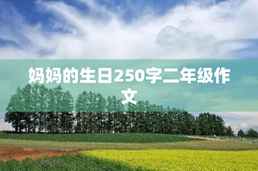 妈妈的生日250字二年级作文