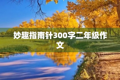 妙趣指南针300字二年级作文