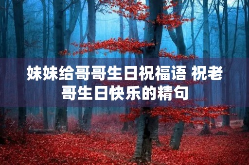 妹妹给哥哥生日祝福语 祝老哥生日快乐的精句