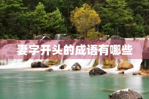 妻字开头的成语有哪些