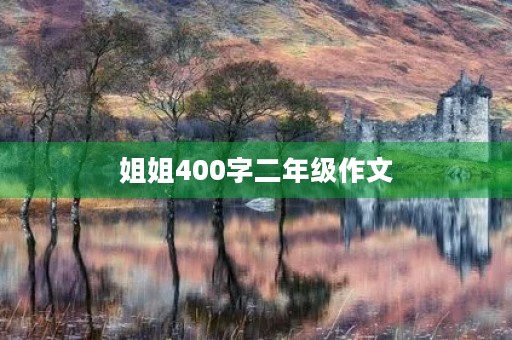 姐姐400字二年级作文