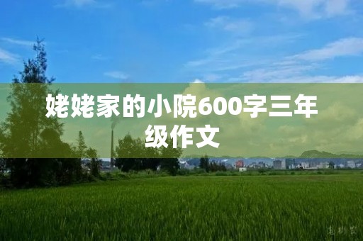 姥姥家的小院600字三年级作文