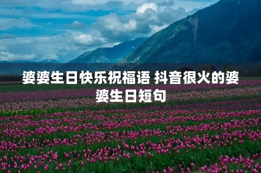 婆婆生日快乐祝福语 抖音很火的婆婆生日短句