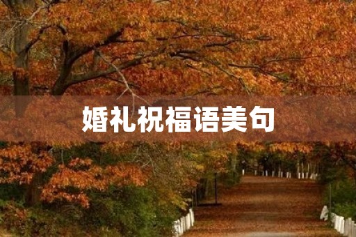 婚礼祝福语美句,婚礼祝福语句唯美