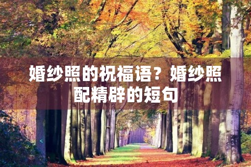 婚纱照的祝福语?婚纱照配精辟的短句