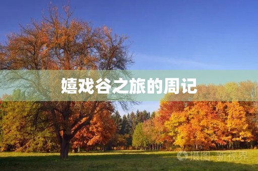 嬉戏谷之旅的周记 嬉戏谷之旅的周记