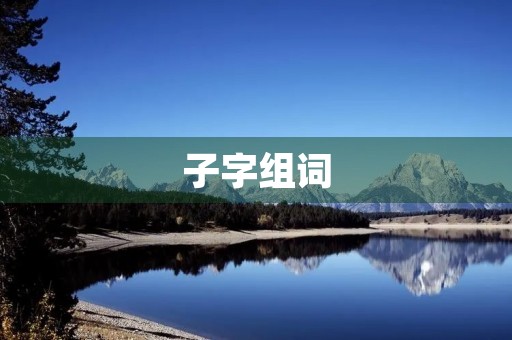 子字组词(子组词)