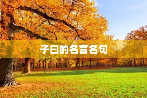 子曰的名言名句(子曰的名言名句论语)