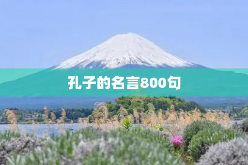 孔子的名言800句(孔子的名言800句简短)
