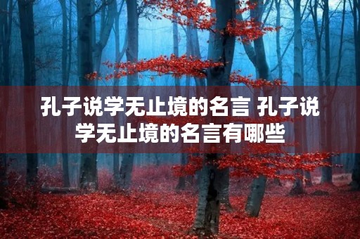 孔子说学无止境的名言 孔子说学无止境的名言有哪些 孔子说学无止境的名言 孔子说学无止境的名言有哪些