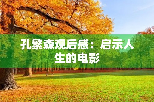 孔繁森观后感：启示人生的电影