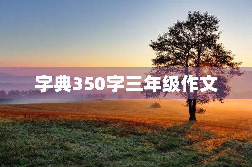 字典350字三年级作文 字典350字三年级作文