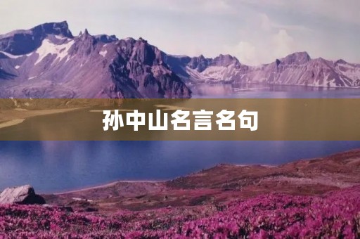 孙中山名言名句(孙中山名言名句励志)